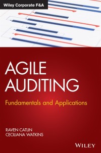 agile auditing fundamentals and applications 1st edition raven catlin, ceciliana watkins 0198860684,