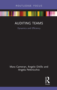 auditing teams dynamics and efficiency 1st edition mara cameran, angelo ditillo, angela pettinicchio