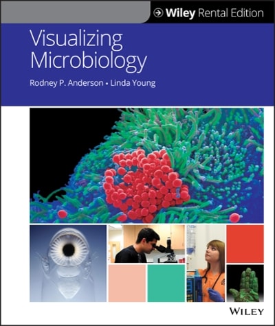 visualizing microbiology 1st edition charles anderson, rodney p anderson, linda young 1119537304,