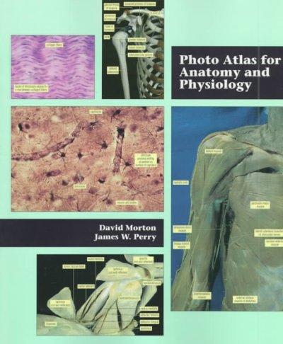 photo atlas for anatomy and physiology 1st edition david morton, james w perry 0534517161, 9780534517168