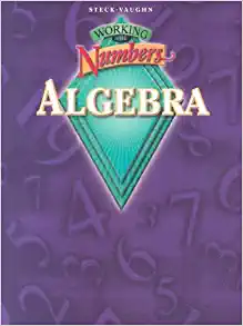 steck-vaughn working with numbers algebra 1st edition alan klemp 9780739835432