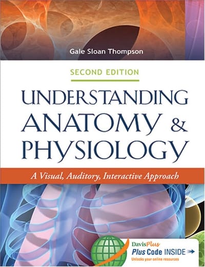 understanding anatomy and physiology a visual, auditory, interactive approach 2nd edition gale sloan thompson