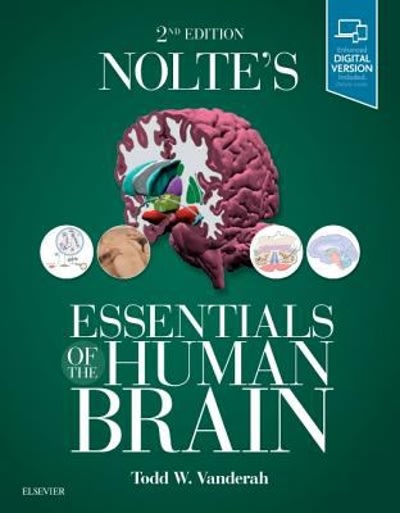 noltes essentials of the human brain 2nd edition todd vanderah 0323529313, 9780323529310