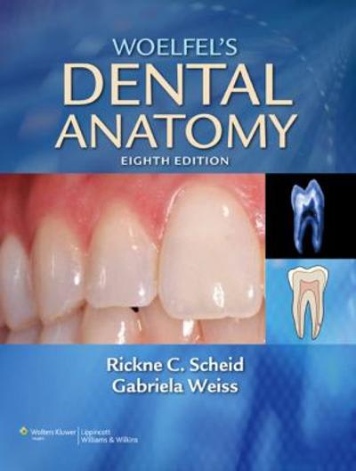 woelfels dental anatomy 8th edition scheid, rickne c scheid, gabriela weiss 1608317463, 9781608317462