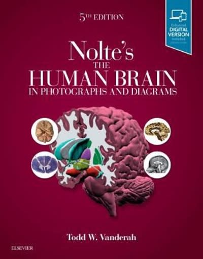 noltes the human brain in photographs and diagrams 5th edition todd vanderah 0323598161, 9780323598163