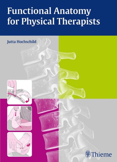 functional anatomy for physical therapists 1st edition jutta hochschild 3131768711, 9783131768711