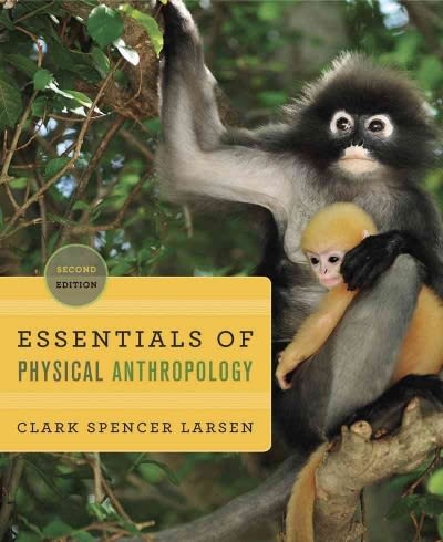 essentials of physical anthropology 2nd edition clark spencer larsen 0393919382, 9780393919387