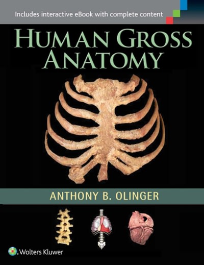 human gross anatomy 1st edition anthony b olinger 1451187408, 9781451187403