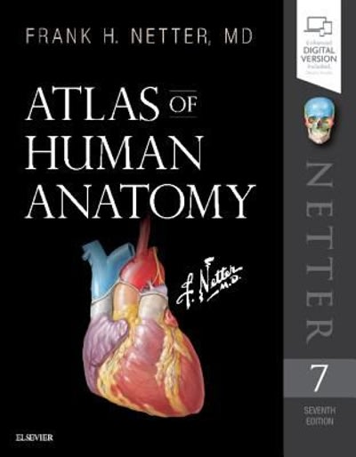 atlas of human anatomy 7th edition frank h netter 0323596835, 9780323596831