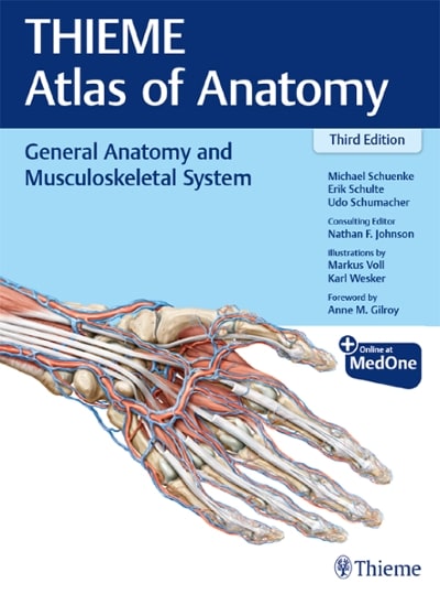 thieme atlas of anatomy general anatomy and musculoskeletal system 3rd edition michael schuenke, erik