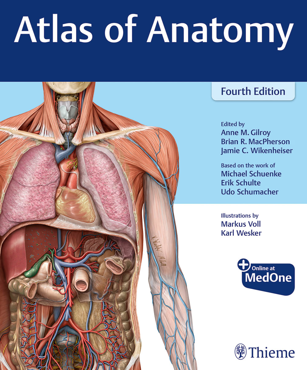 atlas of anatomy 4th edition anne m gilroy, brian r macpherson, brian macpherson, jamie wikenheiser, michael