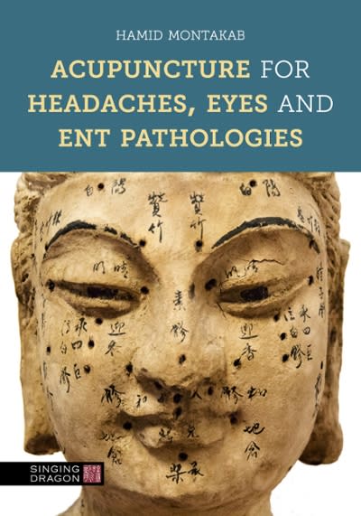 acupuncture for headaches, eyes and ent pathologies 1st edition hamid montakab 0857014056, 9780857014054