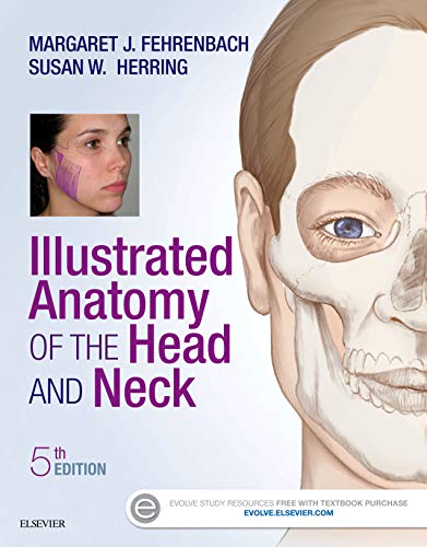 illustrated anatomy of the head and neck - e-book 5th edition margaret j fehrenbach, susan w herring