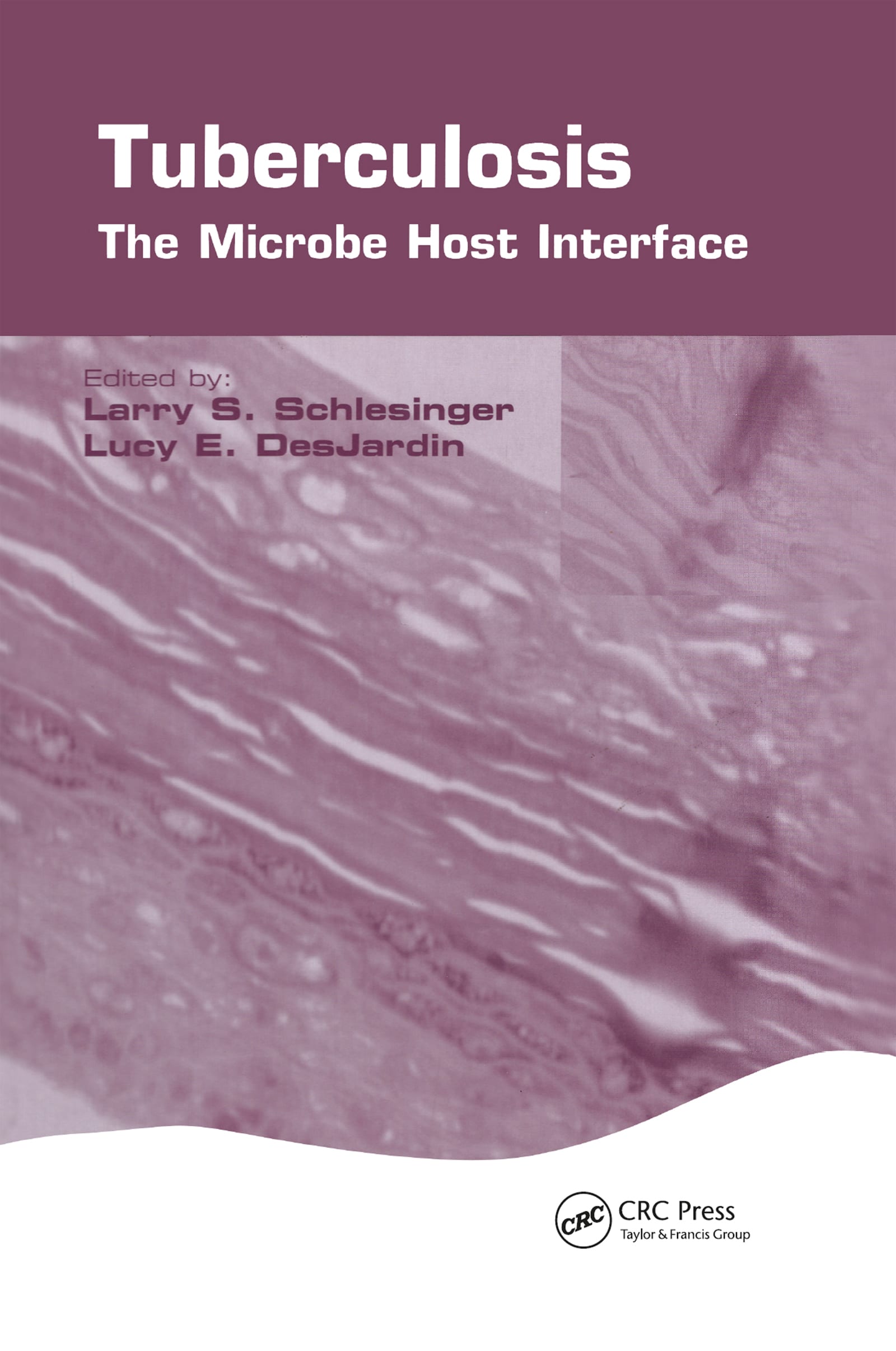 tuberculosis the microbe host interface 1st edition larry s schlesinger, lucy e desjardin 020350206x,