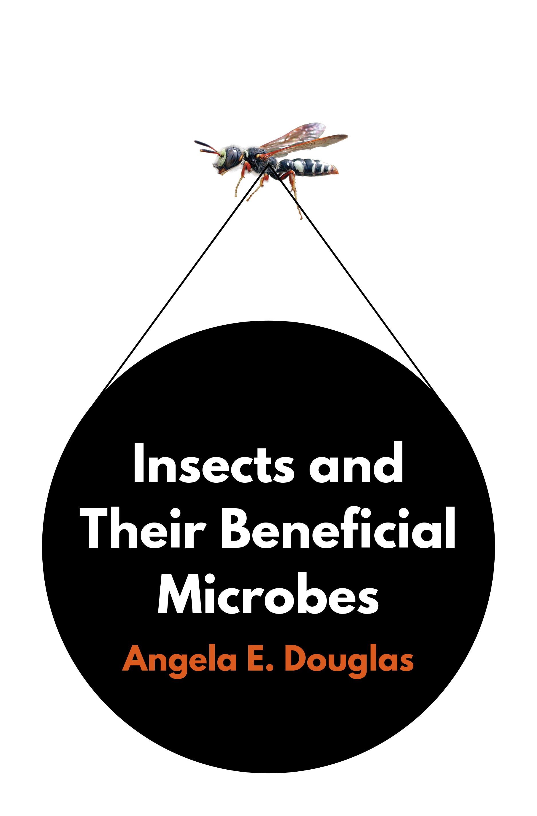 insects and their beneficial microbes 1st edition angela e douglas 0691236232, 9780691236230