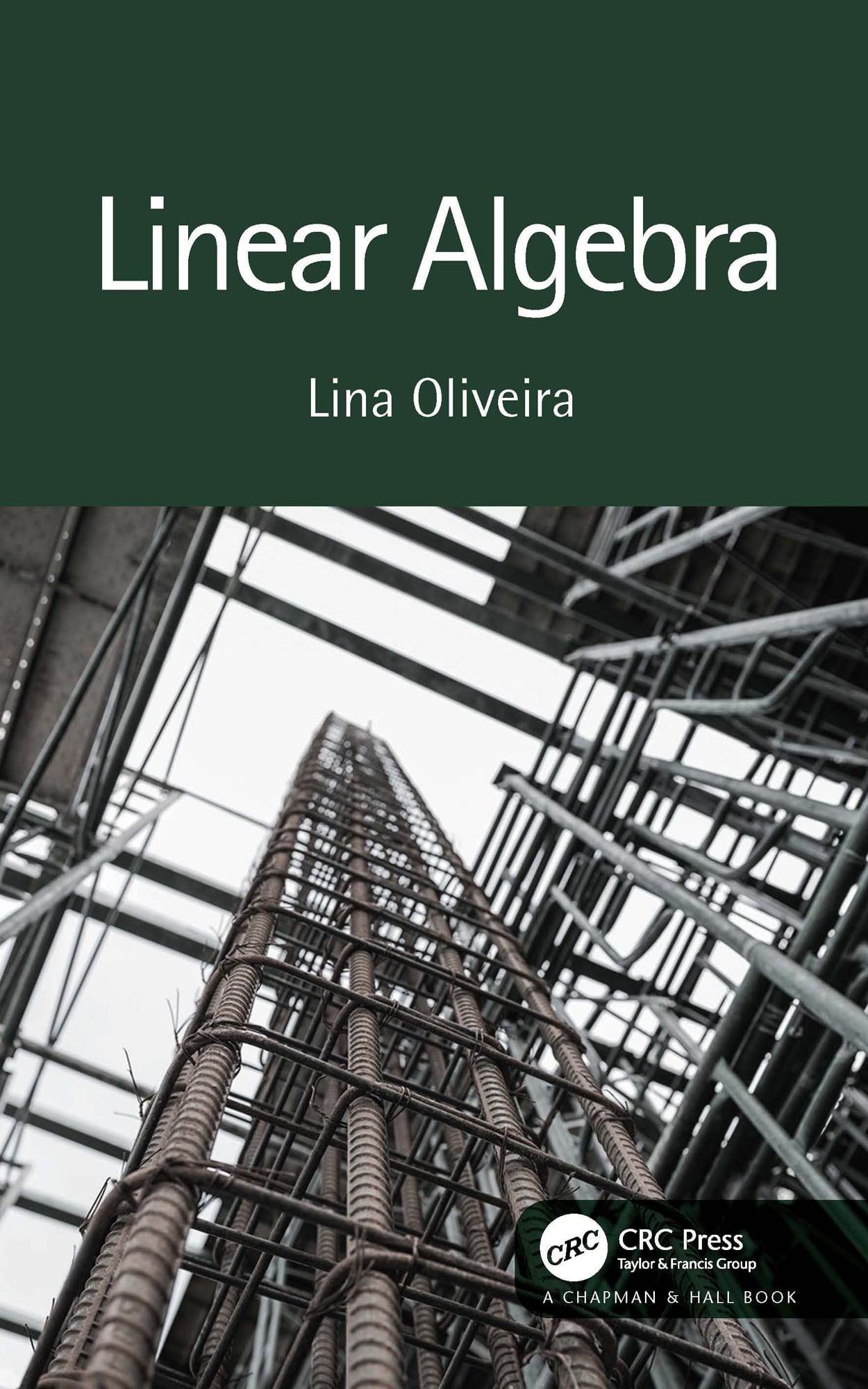 linear algebra 1st edition lina oliveira 1351243446, 9781351243445