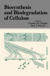 biosynthesis and biodegradation of cellulose 1st edition candace h. haigler, paul j. weimer