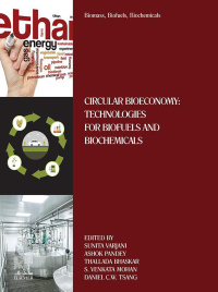 biomass biofuels biochemicals circular bioeconomy technologies for biofuels and biochemicals 1st edition