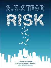 risk 1st edition c.k. stead 9781780877594