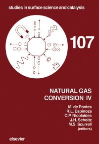 natural gas conversion iv-107 1st edition m. de pontes, r.l. espinoza, c.p. nicolaides, j.h scholtz, m.s.