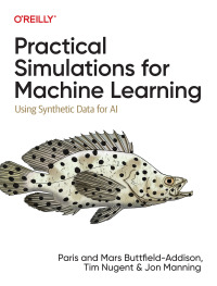 practical simulations for machine learning using synthetic data for ai 1st edition paris buttfield-addison ,