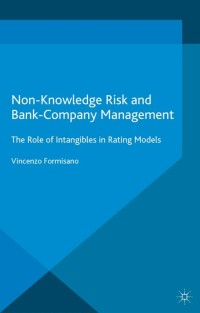non knowledge risk and bank company management the role of intangibles in rating models 1st edition vincenzo