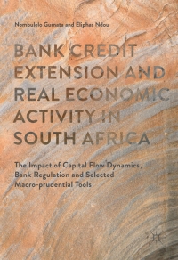 bank credit extension and real economic activity in south africa the impact of capital flow dynamics bank
