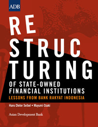 restructuring of state owned financial institutions lessons from bank rakyat indonesia 1st edition hans
