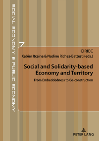social and solidarity based economy and territory 1st edition xabier ltçaina, ,  nadine richez-battesti