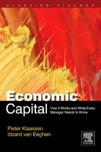 economic capital how it works and what every manager needs to know 1st edition pieter klaassen , idzard van