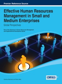 effective human resources management in small and medium enterprises global perspectives 1st edition
