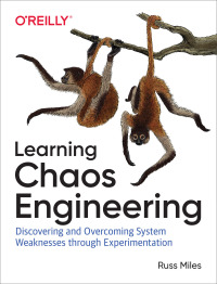 learning chaos engineering discovering and overcoming system weaknesses through experimentation 1st edition