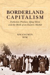 borderland capitalism turkestan produce qing silver and the birth of an eastern market 1st edition kwangmin