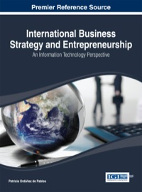international business strategy and entrepreneurship  an information technology perspective 1st edition