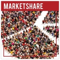 marketshare 1st edition interpretive software 1885837585, 9781885837585