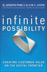 infinite possibility creating customer value on the digital frontier 1st edition b. joseph pine ,  kim c.