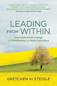 leading from within conscious social change and mindfulness for social innovation 1st edition gretchen ki