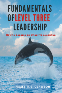 fundamentals of level three leadership how to become an effective executive 1st edition james g.s. clawson ,