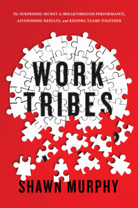 work tribes the surprising secret to breakthrough performance astonishing results and keeping teams together