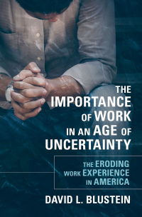 the importance of work in an age of uncertainty the eroding work experience in america 1st edition david l.