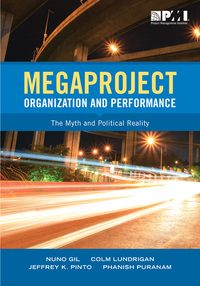 megaproject organization and performance the myth and political reality 1st edition nuno gil , colm ludrigan