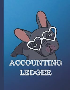 accounting ledger simple bookkeeping for small business or personal finance with funny designed checking