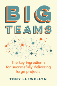 big teams the key ingredients for successfully delivering large projects 1st edition tony llewellyn