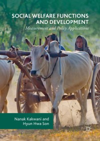 social welfare functions and development measurement and policy applications 1st edition nanak kakwani, hyun