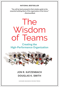 the wisdom of teams creating the high performance organization 1st edition jon r. katzenbach , douglas k.