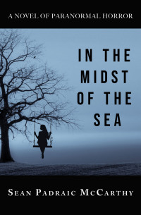 in the midst of the sea  sean mccarthy 161035334x, 1610353498, 9781610353342, 9781610353496