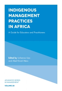 indigenous management practices in africa a guide for educators and practitioners 1st edition uchenna uzo ,