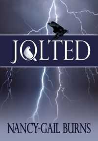 jolted 1st edition nancy gail burns 1611608333, 9781611608335