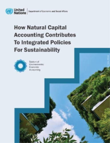 how natural capital accounting contributes to integrated policies for sustainability 1st edition united