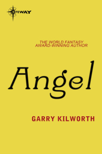 angel 1st edition garry kilworth 0575114363, 9780575114364